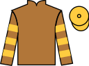 Jockey silks for Island Run