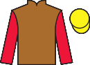 Jockey silks for Guchen (FR)
