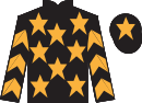 Jockey silks for Intrastellar