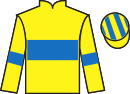 Jockey silks for Spindleberry (IRE)