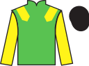 Jockey silks for Golden Move