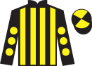Jockey silks for Colors Of Freedom