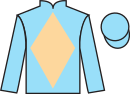 Jockey silks for N'Ion (FR)
