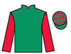 Jockey silks for Chichester Park
