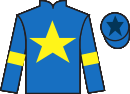 Jockey silks for Vitorio Piel (FR)