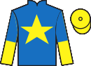 Jockey silks for Jordans (FR)