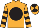 Jockey silks for Terries Royale