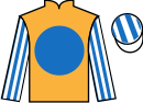 jockey silks