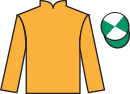 jockey silks