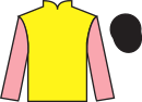 jockey silks