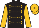 jockey silks
