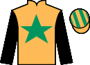jockey silks