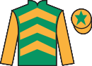 jockey silks