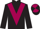 jockey silks