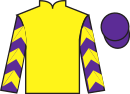 jockey silks