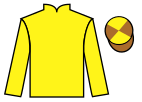Jockey silks for Road To Rosley