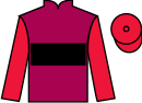 Jockey silks for Spartan Warrior (IRE)