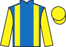 Jockey silks for Marvel Magic (FR)