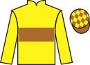 Jockey silks for Folly Master (IRE)
