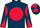 Jockey silks for Loro White