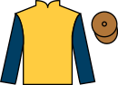 Jockey silks for Whizzy Dizzy (IRE)