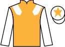 Jockey silks for Secret Order (IRE)
