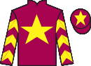 Jockey silks for Daydream Nation (IRE)