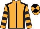 Jockey silks for Finbarr