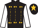 Jockey silks for Robusto (IRE)