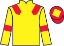 Jockey silks for Dance Time
