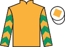 Jockey silks for Coeur d'Or (IRE)