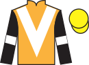 Jockey silks for Bay Colony (IRE)