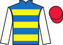 Jockey silks for Trojan Storm