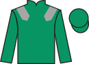 Jockey silks for My Fermoy (IRE)