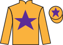 jockey silks