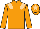jockey silks