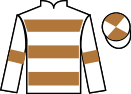jockey silks