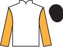 jockey silks