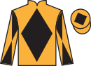 jockey silks