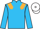 jockey silks