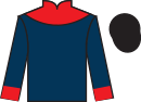 Jockey silks for Silvereen