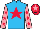 Jockey silks for Jessie's Giant