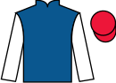 Jockey silks for Regal Renaissance