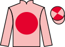 Jockey silks for Mr Nippy
