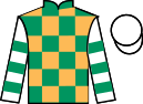 Jockey silks for Lough Derg Spirit (IRE)