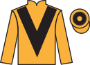 Jockey silks for Cavalry Master (IRE)