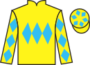 Jockey silks for Queen Nel (IRE)