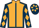 Jockey silks for Fearless Dragon