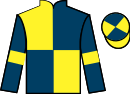 Jockey silks for Fitzroy Gardens (IRE)