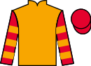 Jockey silks for Starman (FR)